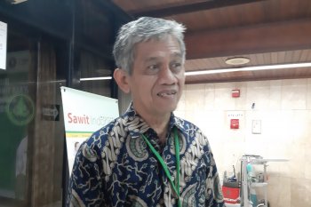 GAPKI  sebutkan kendala ekspor di pasar baru CPO