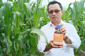 Lahan rawa marjinal potensi besar jadi areal pertanian