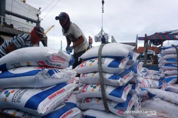 Kekeringan di NTB tidak mempengaruhi penyerapan pupuk bersubsidi