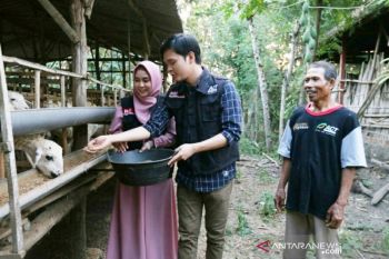 Anisa dan Dito berkisah ikut urus kambing Global Qurban