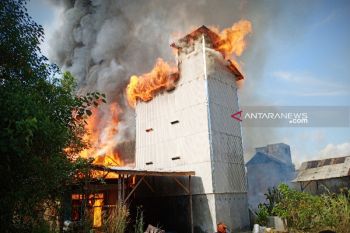 Barak dan bangunan sarang walet di Bartim ludes terbakar