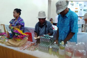Menristek lakukan penanaman bibit unggul kayu putih di Gunung Kidul