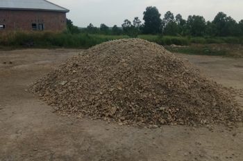Harga singkong di Mesuji capai Rp1.100/kg