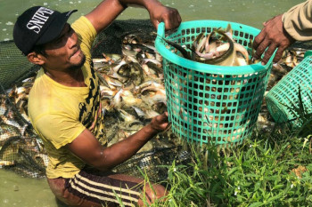 Menteri Kelautan dan Perikanan dukung kampung budi daya ikan guna dongkrak ekonomi
