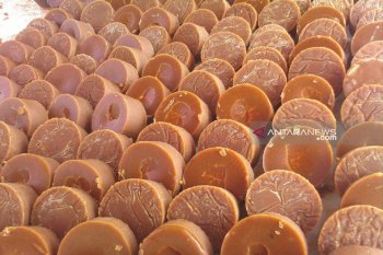 Aceh kembangkan gula aren dari kelapa sawit