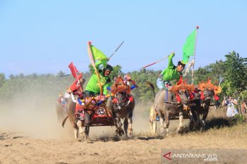 Lomba Makepung "Gubernur Bali Cup" digelar setelah 10 tahun terhenti
