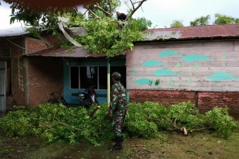 Tujuh unit rumah warga rusak diterjang puting beliung