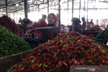 Harga cabai di Solo capai Rp60.000/kg