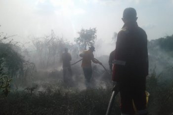 Kebakaran lahan terjadi lagi di Kabupaten Ogan Ilir