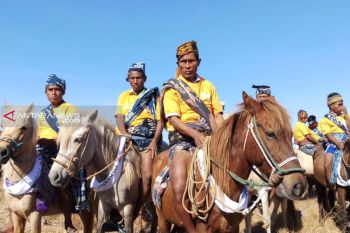 Parade kuda sandelwood di Sumba Timur