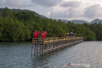 Wisata mangrove kelompok tani hutan