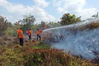 Kemenko Polhukam  minta 11 provinsi tetapkan siaga darurat Karhutla
