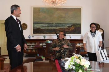 Menlu sebut pertemuan Jokowi-Menlu Singapura tak bahas FIR