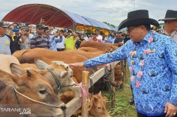 Pemkab Poso tetapkan Desa Padalembara Kampung Pedet