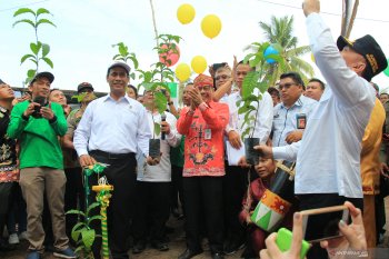 Menteri Pertanian luncurkan program BUN 500 di Kalteng