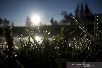 Fenomena embun es di Kabupaten Bandung