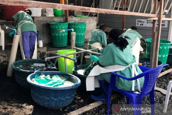 Kongo laporkan kembali kasus Ebola