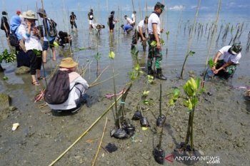 Restorasi wilayah pesisir Palu