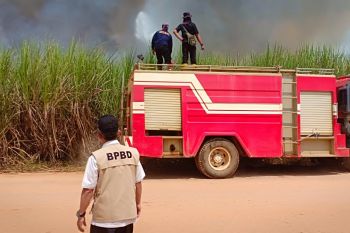 Lahan tebu PT LPI terbakar  tiga kali dalam sebulan
