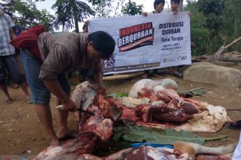 ACT Sulsel  siap jemput kurban hingga ke luar negeri