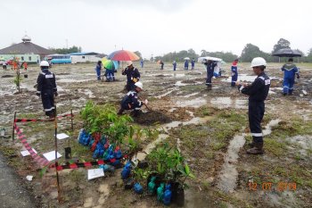 Karyawan DSLNG ramai-ramai tanam pohon