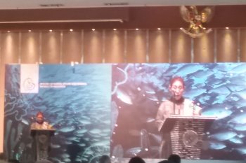 Menteri Susi tekankan kewaspadaan illegal fishing kepada dunia