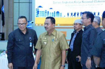 Angkatan kerja  capai 82.000 orang di Kabupaten Majene