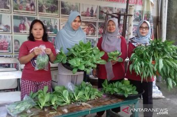 Sosok petani kota yang akan terbang ke Jepang