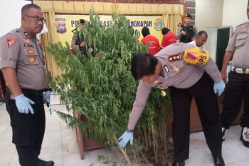 Polres Agam ungkap empat kasus narkoba kurang dari 24 jam