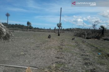 Artikel - Kekeringan bukan lagi bencana bagi NTT