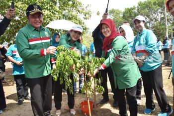Gubernur Sumsel: Jaga lingkungan sekitar