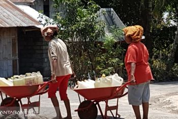 Kekeringan sebagai bencana di Flores Timur
