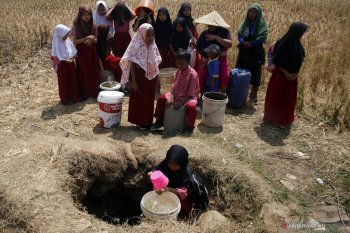 BPBD: 20 kabupaten/kota di Jawa Barat terdampak kekeringan