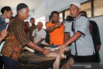 Distanak Pekalongan beri  bimbingan teknis petugas penyembelih hewan kurban