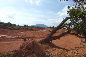 Pembangunan taman pascatambang terhambat akibat proses hukum