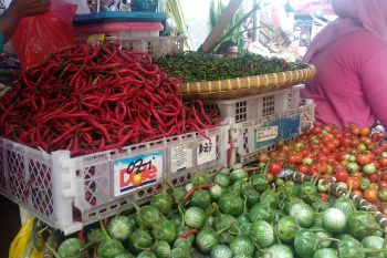 Pemkot : Musim kemarau pengaruhi harga cabai