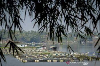Larangan keramba jaring apung