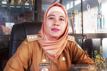 Masyarakat pelosok Kotim antusias sambut perluasan jaringan listrik PLN