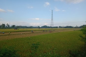 Atasi kekeringan, bangun puluhan sumur di Mataram