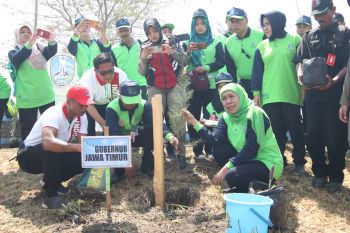 Khofifah ajak masyarakat tanam cemara udang untuk cegah abrasi di pesisir pantai