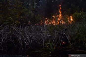Polda Riau telusuri lima perusahaan terdeteksi titik api, berikut ini nama korporasinya
