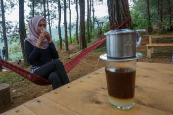 Wisata kuliner kopi