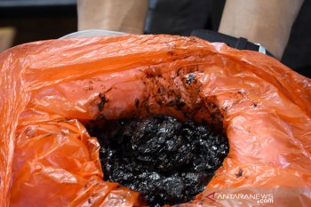 Pertamina berkoordinasi dengan kementerian tanggulangi dampak tumpahan minyak