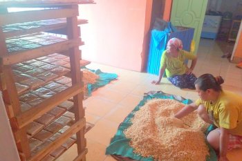 Petani Lampung Timur cari alternatif pencaharian di masa kemarau