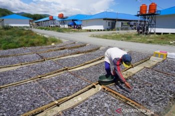 Manfaatkan huntara untuk lokasi usaha