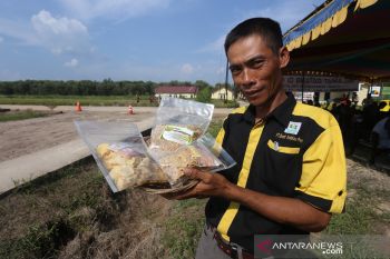 Sinar Mas bina 41 Desa minimalisir  kebakaran hutan