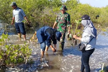 Kodim1615/Lombok Timur menanam mangrove cegah abrasi pantai