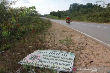 Harga tanah di Gunung Mas mulai naik empat kali lipat