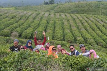 LOKET ajak insan kreatif di Makassar kembangkan pariwisata