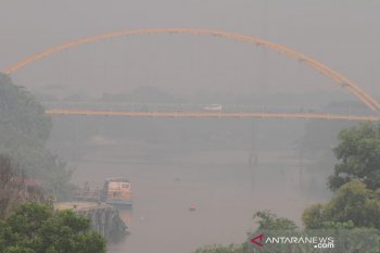 BMKG sebut kabut asap Pekanbaru akibat kebakaran lahan di Pelalawan, begini penjelasannya